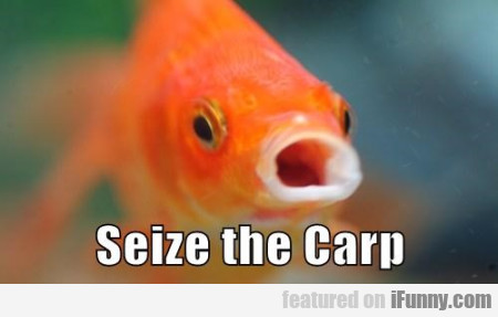 Seize The Carp
