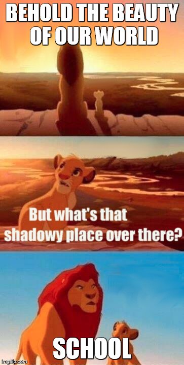 Simba Shadowy Place