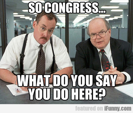 So Congress... What Do You Say You Do Here?