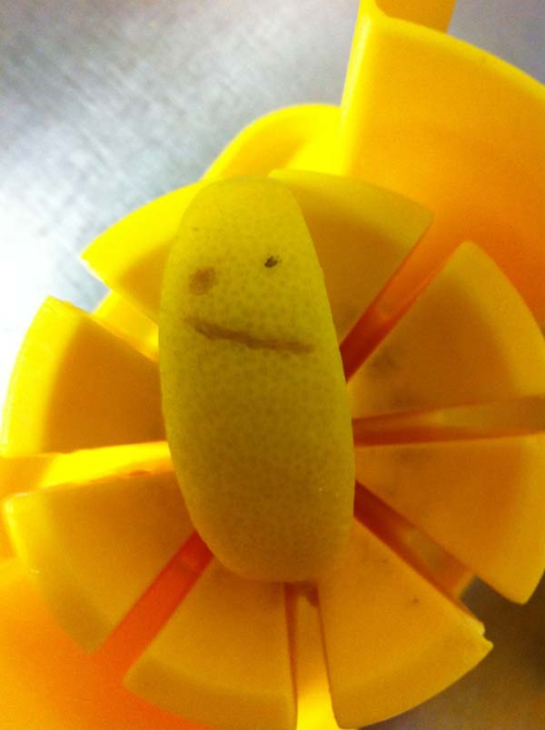 Lemon slice is... hesitant.