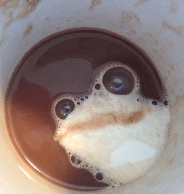 There's a toad in my coffee.