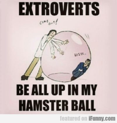 Extroverts Be All Up In My Hamster