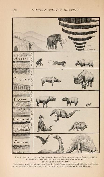 Animal species through time. From Popular Science Monthly, September 1905.
