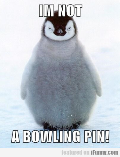 I'm Not A Bowling Pin!