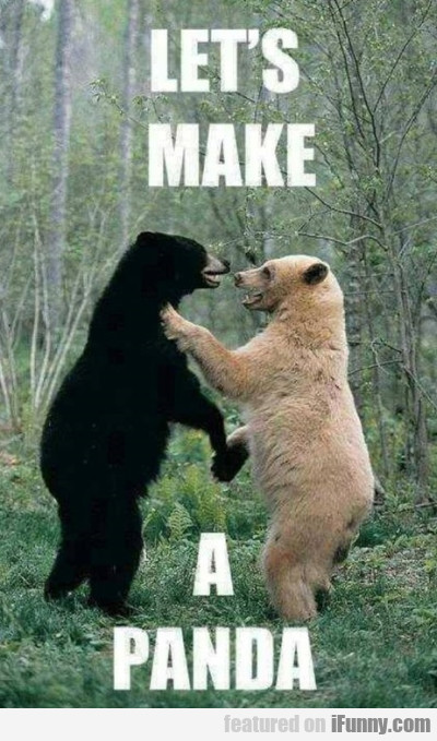 Let's Make A Panda