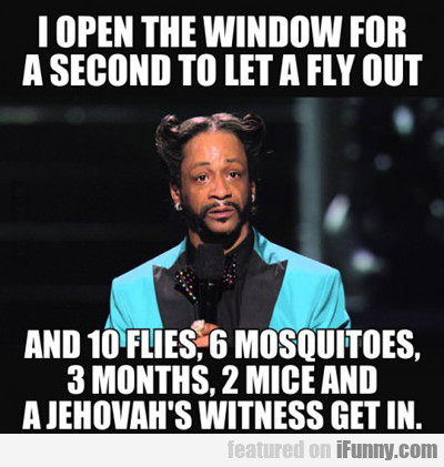 I Open The Window For A Second To Let A Fly...