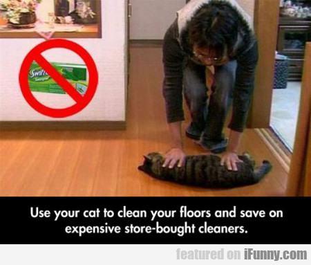 Use Your Cat To Clean Your Floors And Save On...