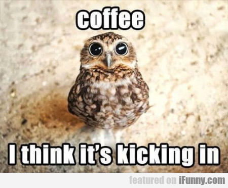 Coffee. I Think It's Kicking In