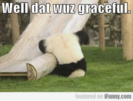Well Dat Wuz Graceful