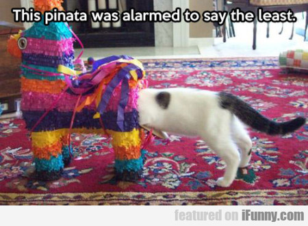 The Pinata Was Alarmed To Say The Least