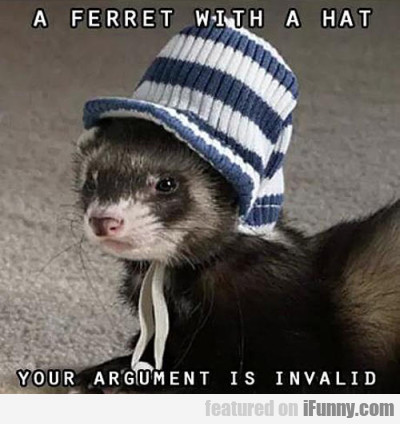 A Ferret With A Hat - Your Argument Is Invalid