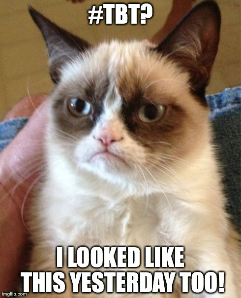 Grumpy Cat