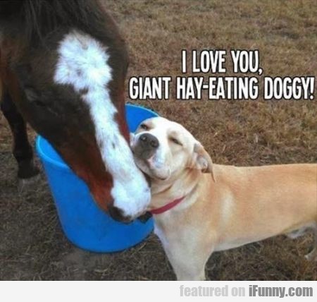 I Love You, Giant, Hay-eating